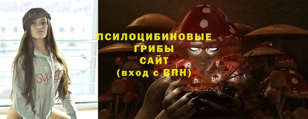 ГАЛЛЮЦИНОГЕННЫЕ ГРИБЫ Белокуриха