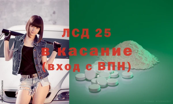 ГАЛЛЮЦИНОГЕННЫЕ ГРИБЫ Белокуриха