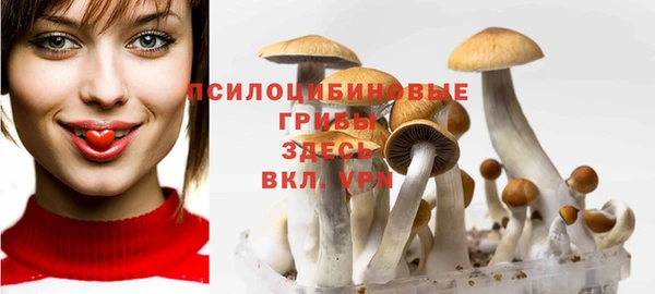 кокс Беломорск
