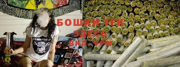 ECSTASY Липки