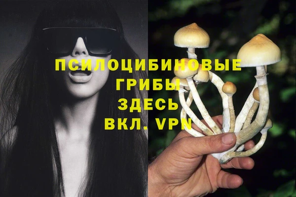 кокс Беломорск