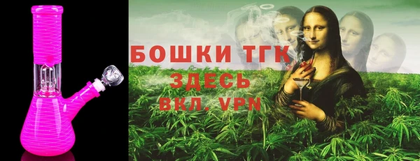 ГАЛЛЮЦИНОГЕННЫЕ ГРИБЫ Белокуриха
